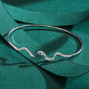 Conjunto de Prata Serpente